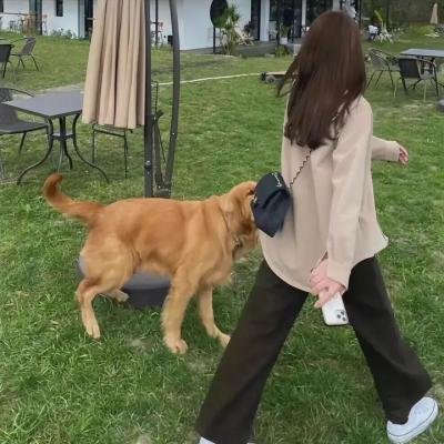 推荐影片